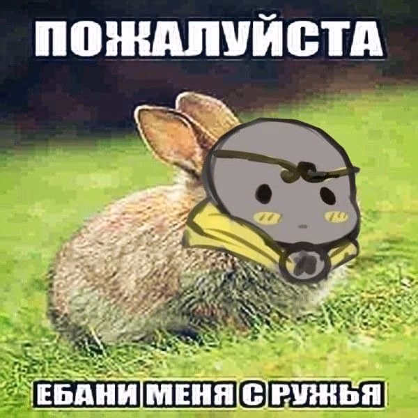 b9d8e81f1b49a7e010172224521ed7e7.jpg