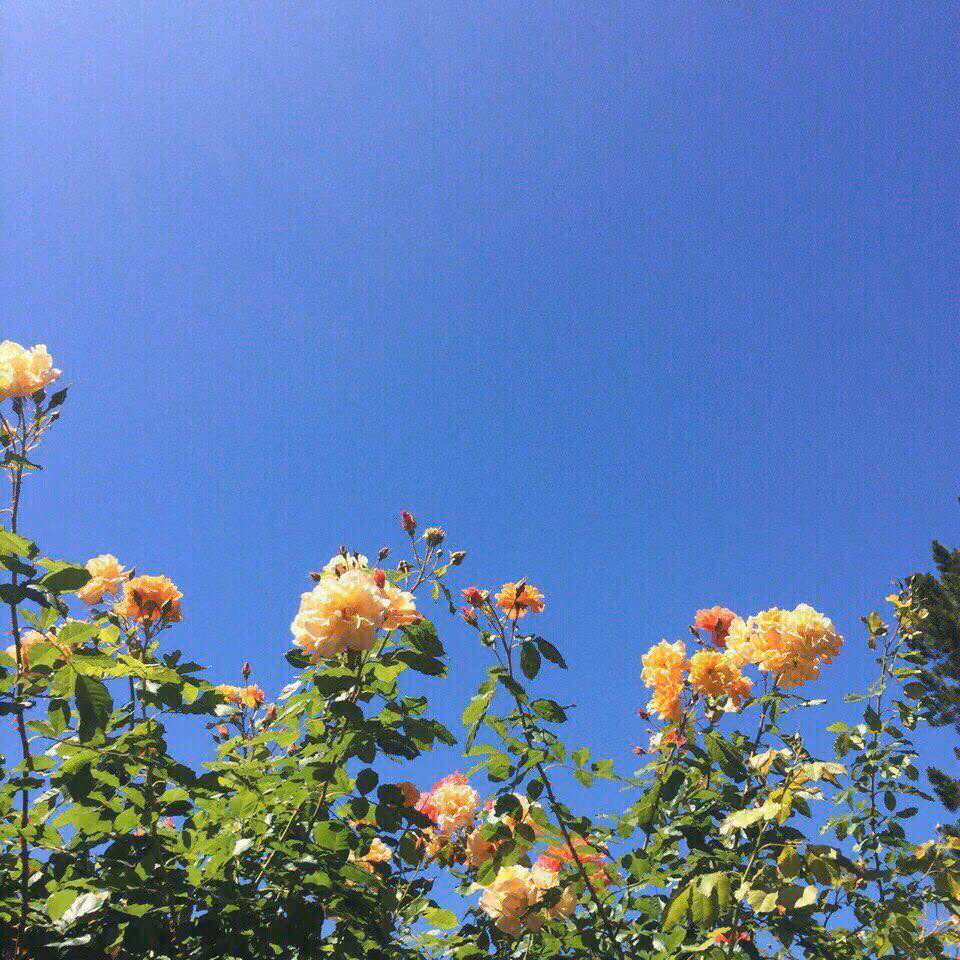 ba0810297722ad4d9c71886ec20fd1aa.avif