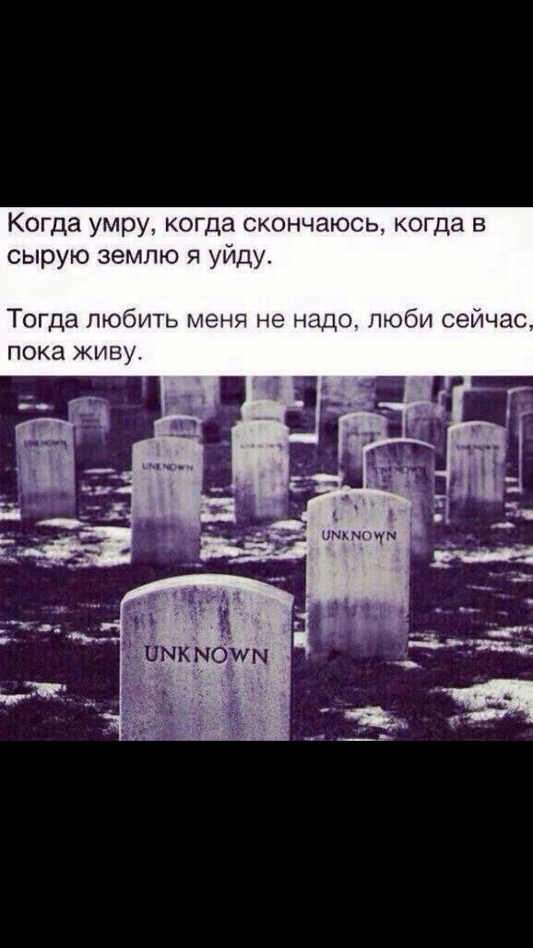 ba16dd3a65a08c22da3e687ba78f1582.jpg