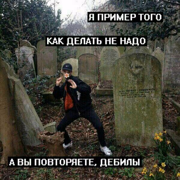 ba24d992cba1c787c0046405f65eec43.jpg