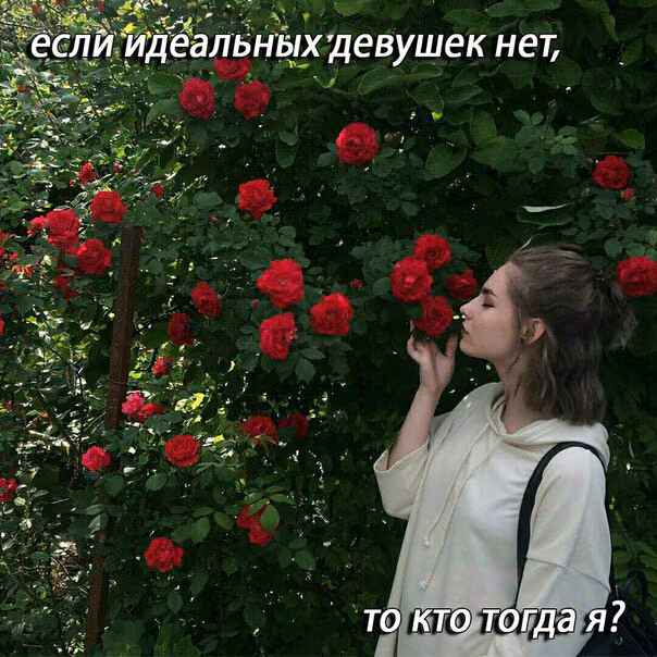 ba311d2f02c8c390a76fa2dff3c45dcb.jpg