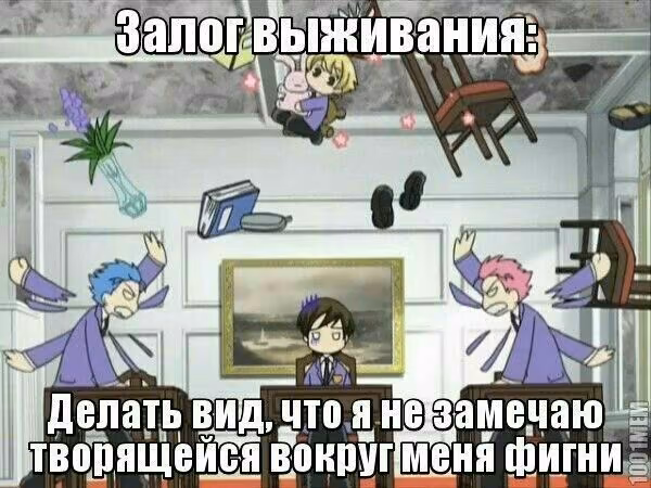 ba456da2696d31f66bd2ccd1c8c275af.jpg