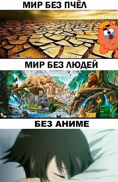 ba4dd8baa967fad3386425327b4f83df.jpg