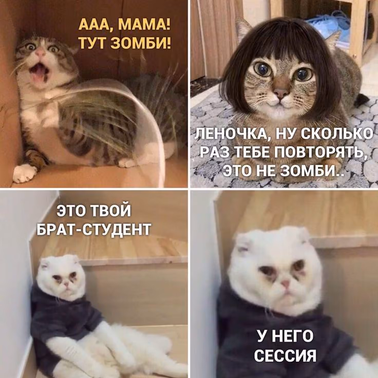 ba50f45928687bda6cdd4be3004b3f8c.avif