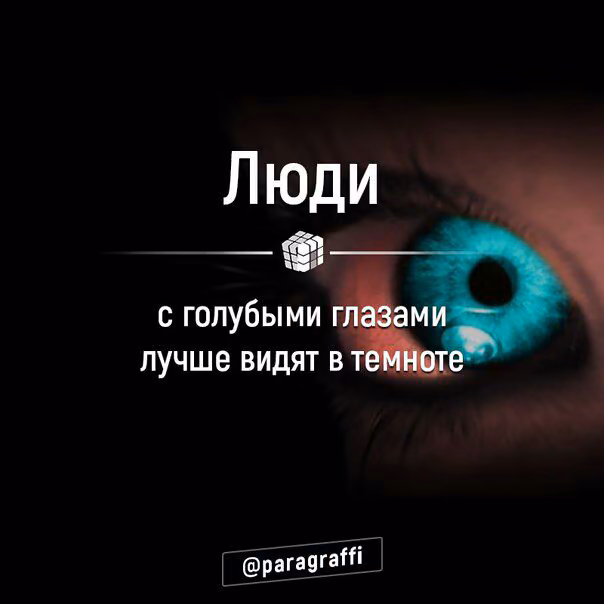 ba91595994611b13a7d0795d755b98c0.avif