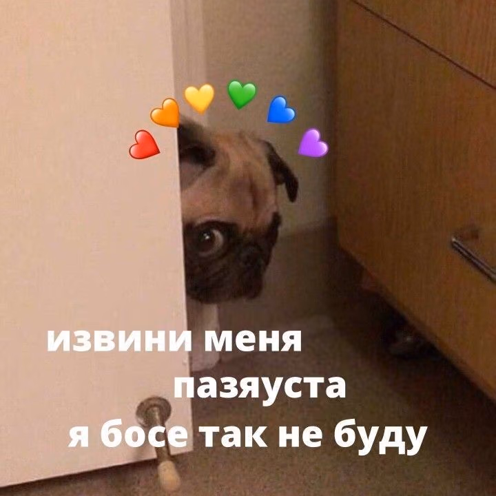 bab177819e51d79f2050858ccfdd16da.avif