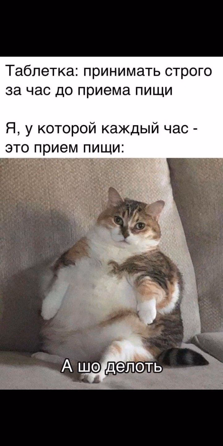 babd9a21dea49723b9d7502d93402ae2.avif