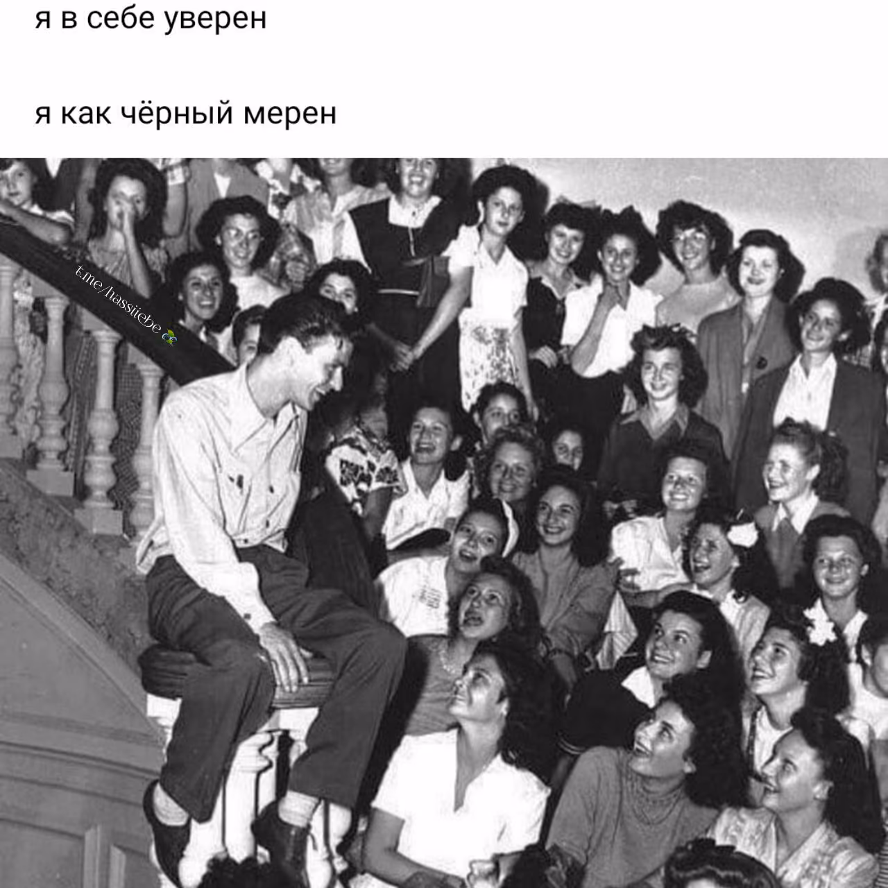 bac8a02a10cbc4b49b92fc01d460261b.jpg