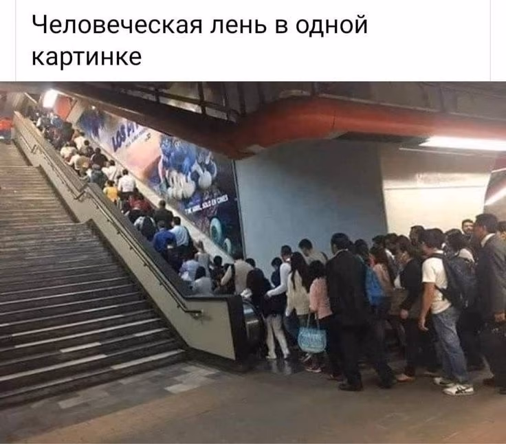 bac98a73f326eb994ff33667c7d2de65.avif