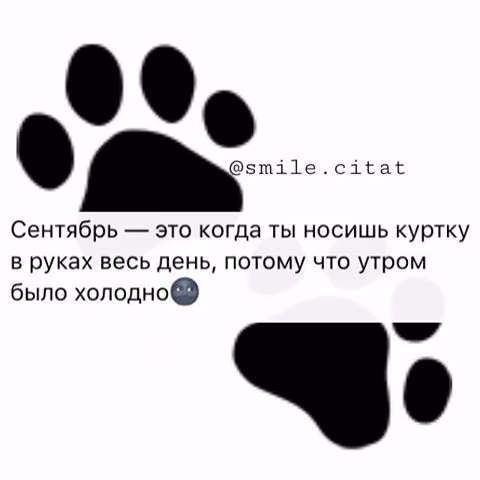 bad529d7f029a8d9e04b07c64b5b7642.jpg