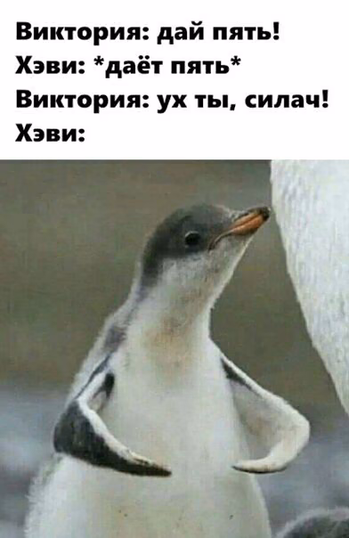 badc3cb07a074e1f00209c83e5f08f6a.jpg