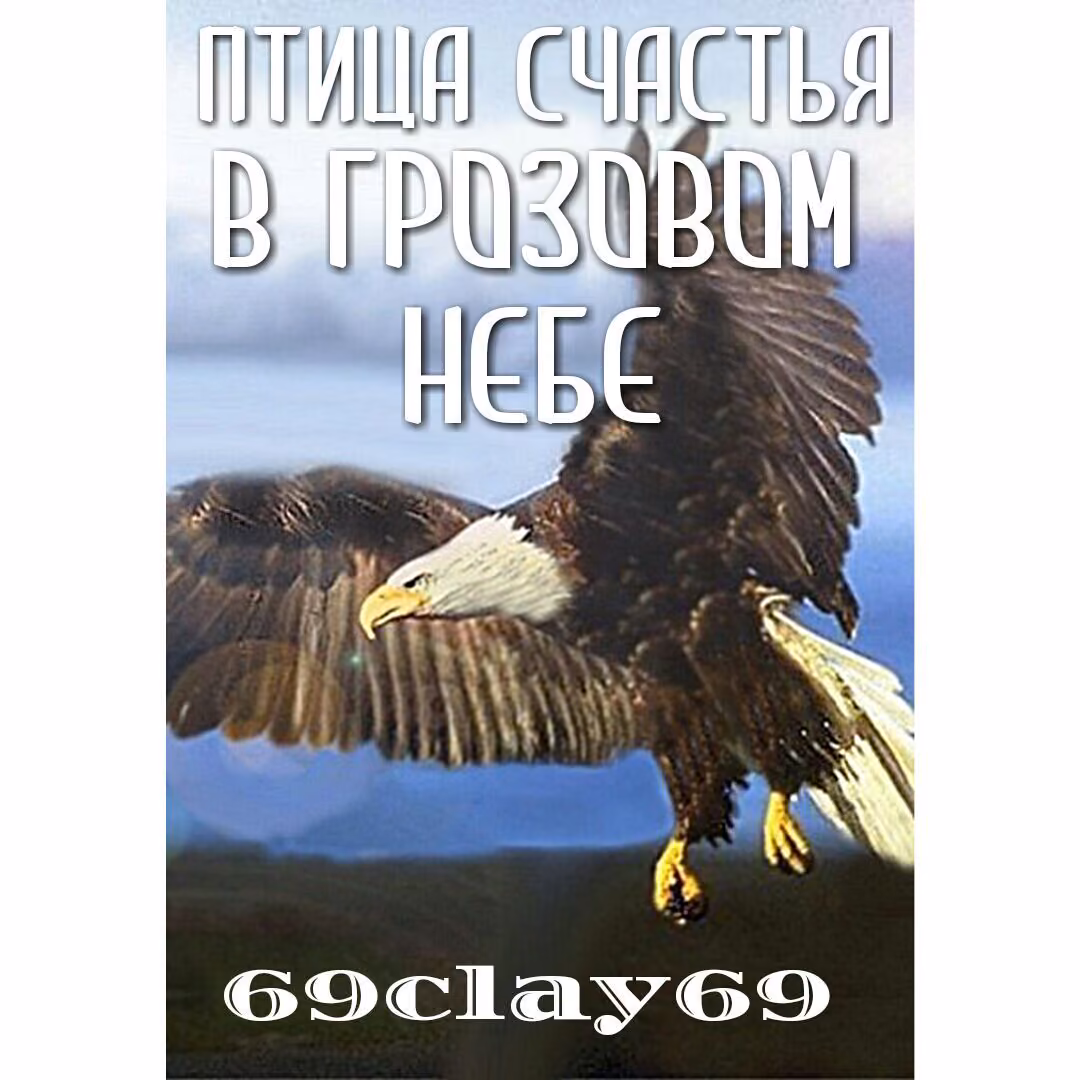bade5172f39ead033c5049a01cd25169.jpg