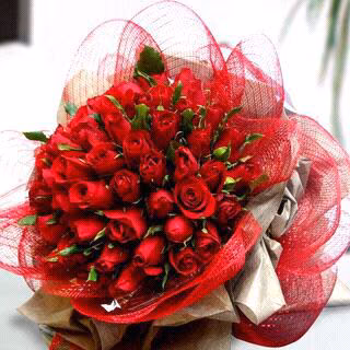 bae2b6fb8de790b3106528129f083499.avif