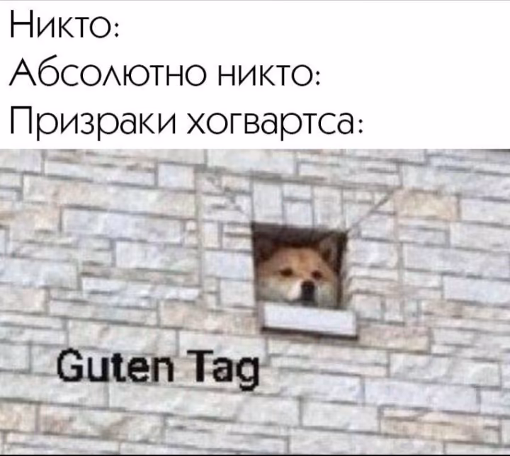 bae6fab9f05da9b887fcc9422126e79e.avif
