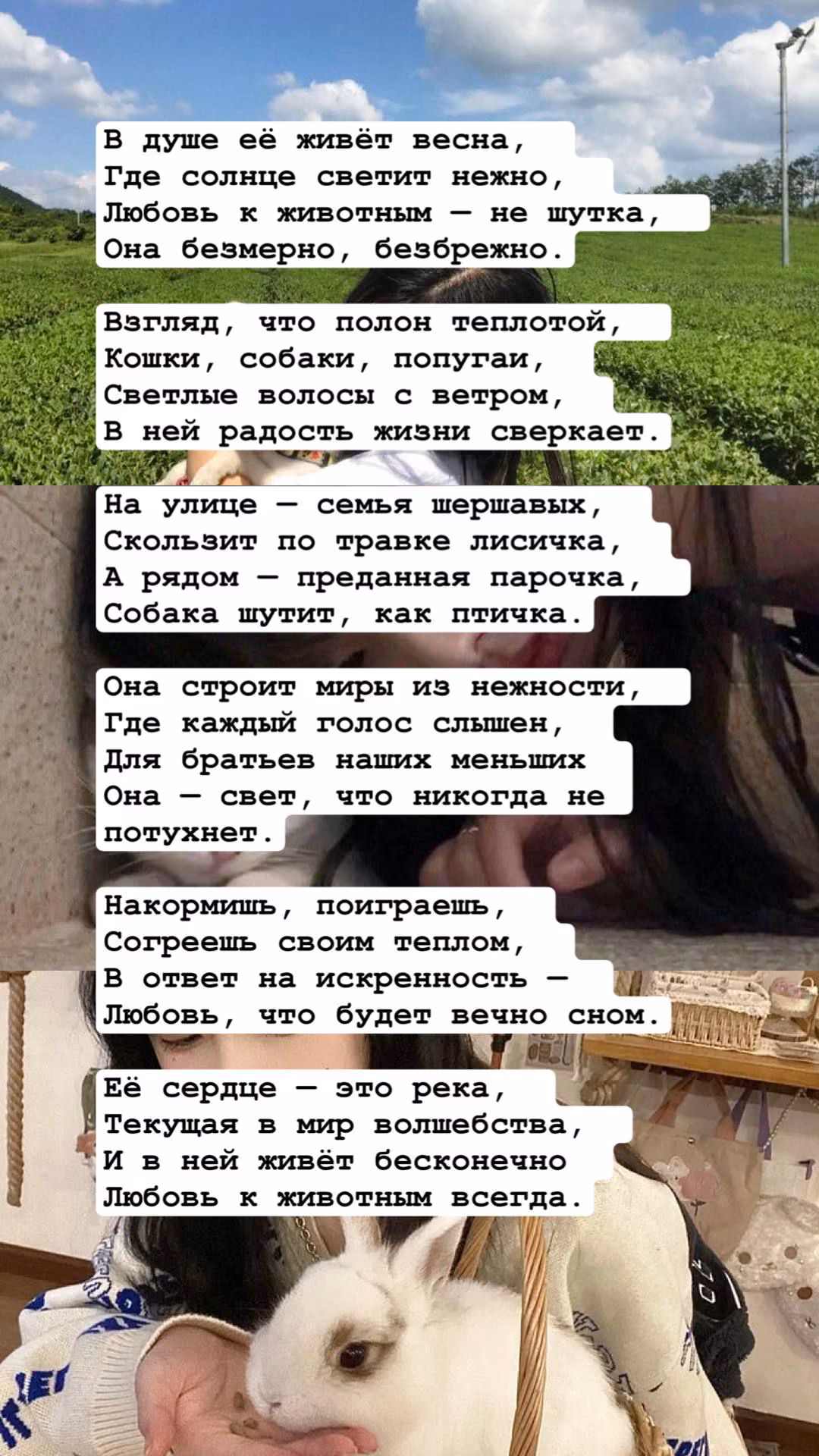 bae94ea828b9a6d96f1198d77ac2f444.avif