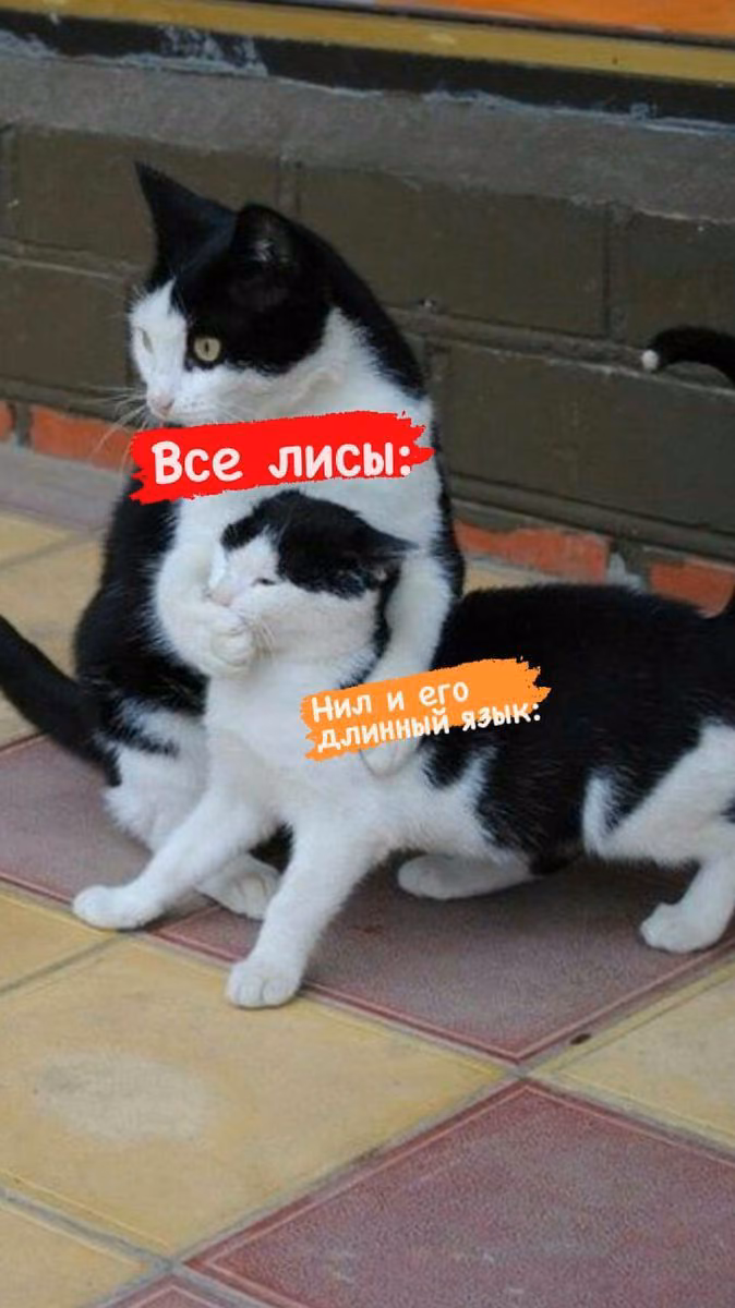 baec133ce1dfe206b0c36fc195cf8869.avif