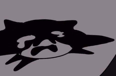 bb0c879b42cbcadb49620f42a1e963dc.avif