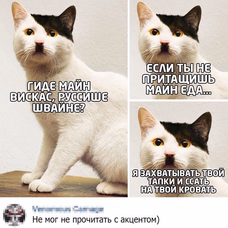 3d5e4f3949e3f97fab793f3b4de3ea63.jpg
