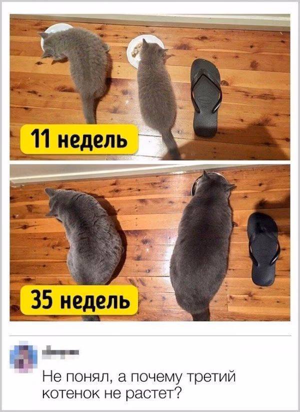bb0f4c1da829062f5fd2e663d01501d1.jpg