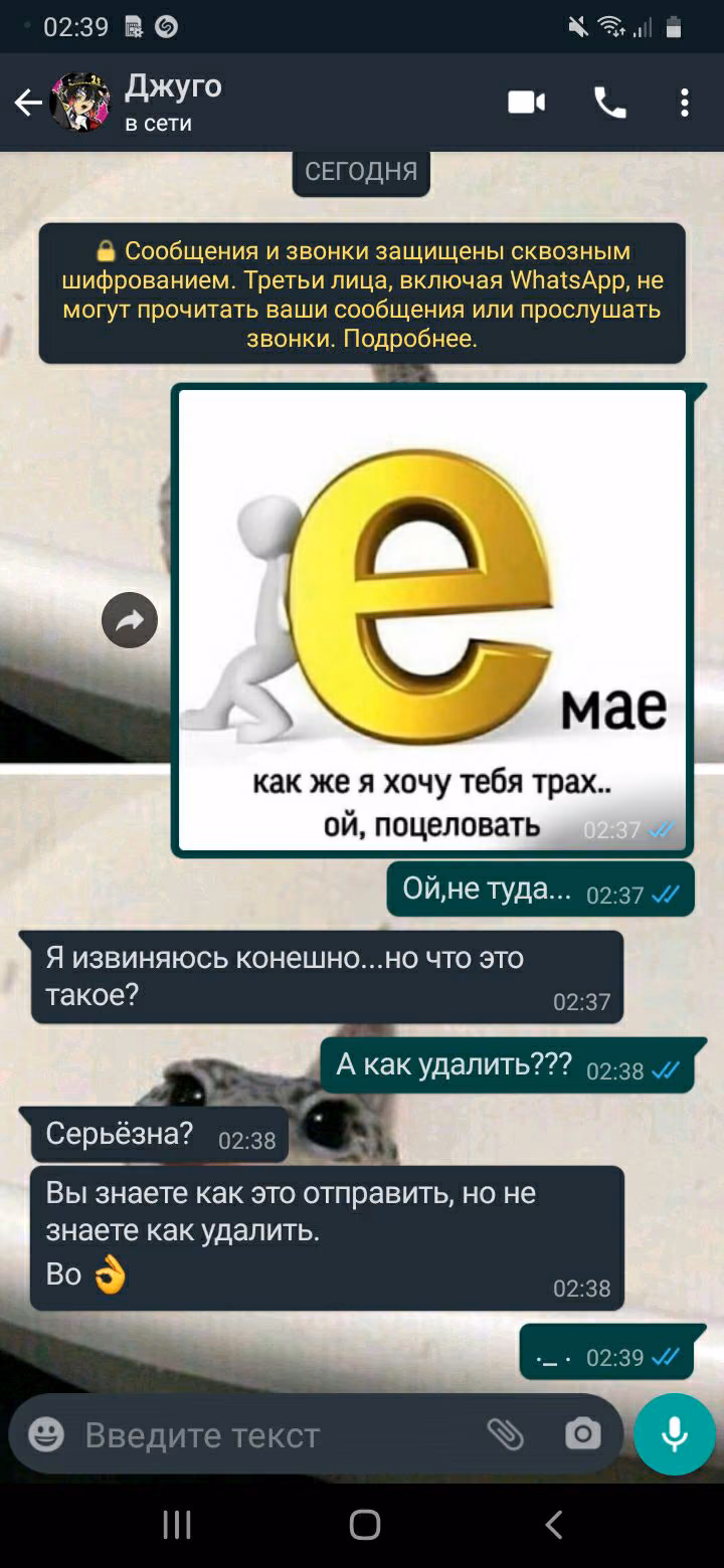bb13b14e2fb804e1bc7b4566c4ad19be.jpg