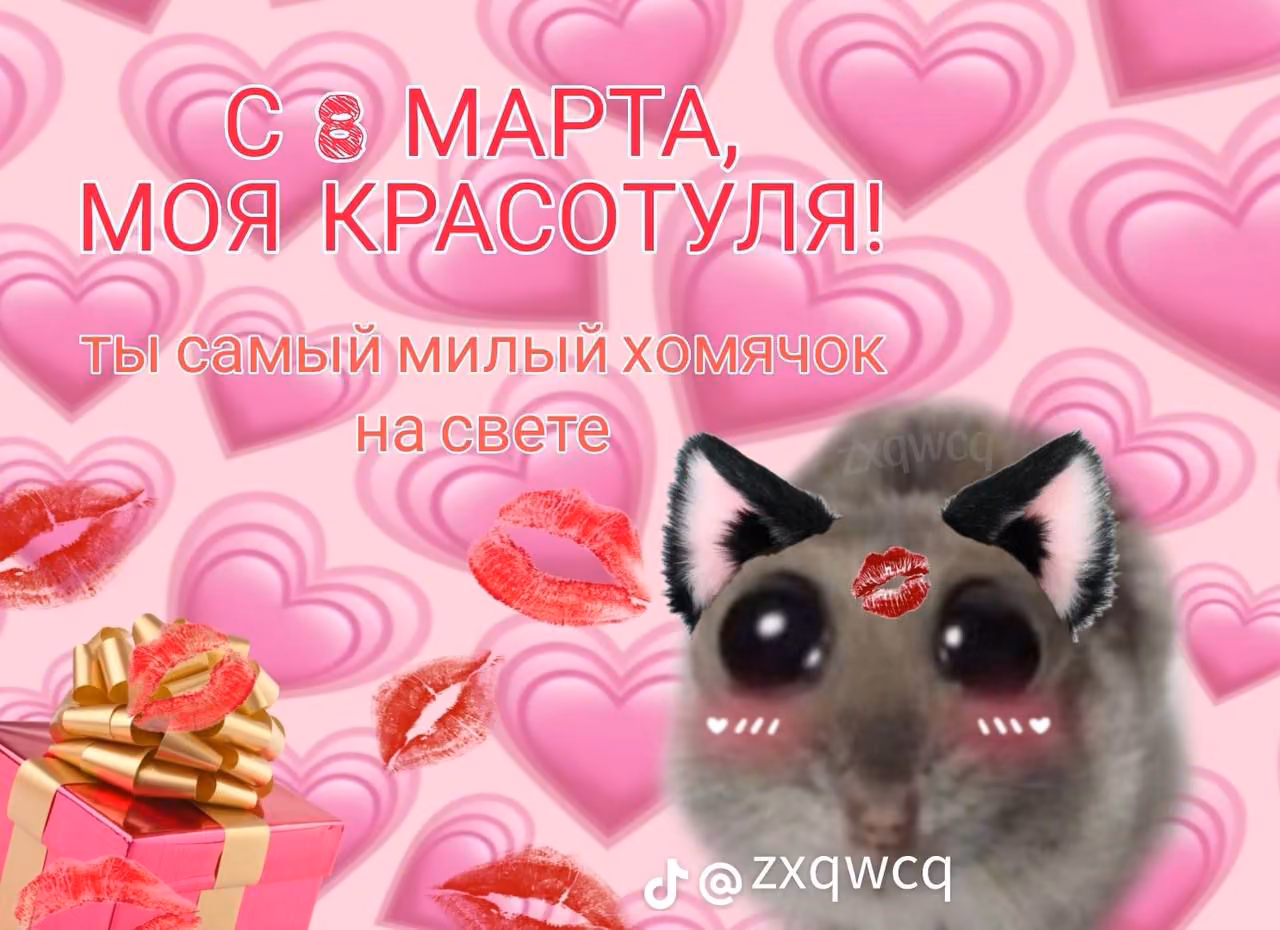 bb1e8e1e7355e84080d4c4fdfad032aa.avif