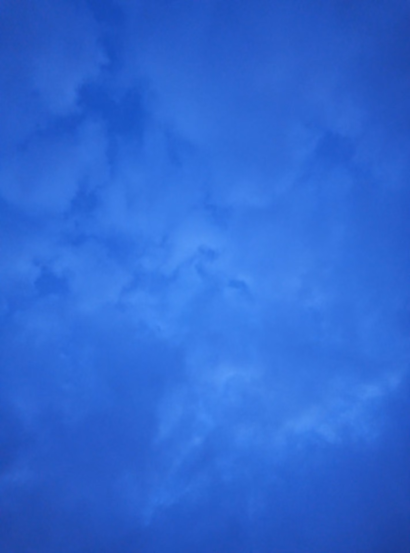 bb2b0cc2c4d5575dbd0190e6b0edfc51.jpg