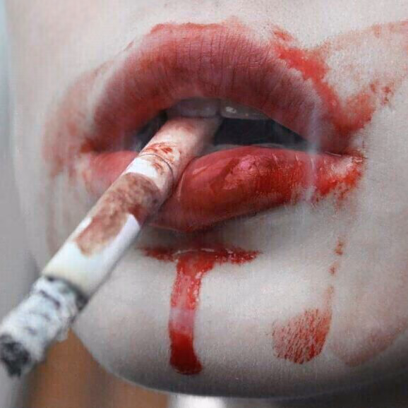 bb33d35d6012a7362e3ca6bbea424af5.avif