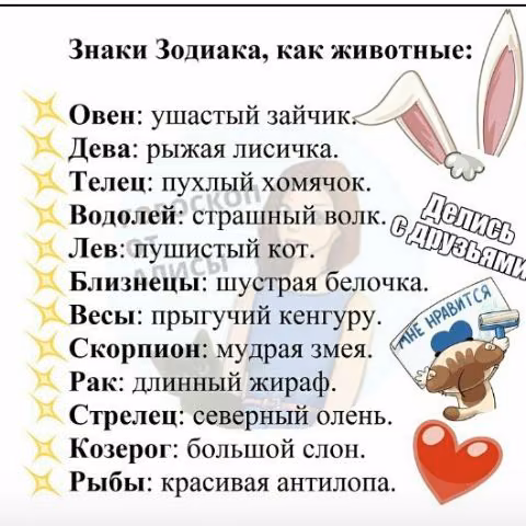 bb395aacf4ee6f286d7e57b257357e36.jpg