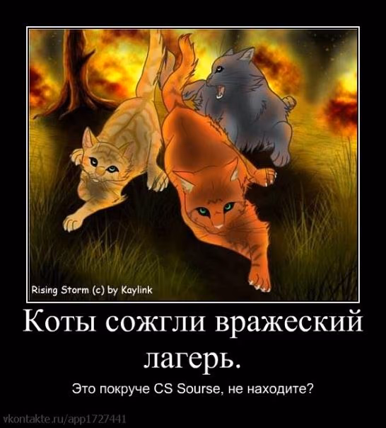 bb3dc5c768fa49c2c89abb030d796ace.avif