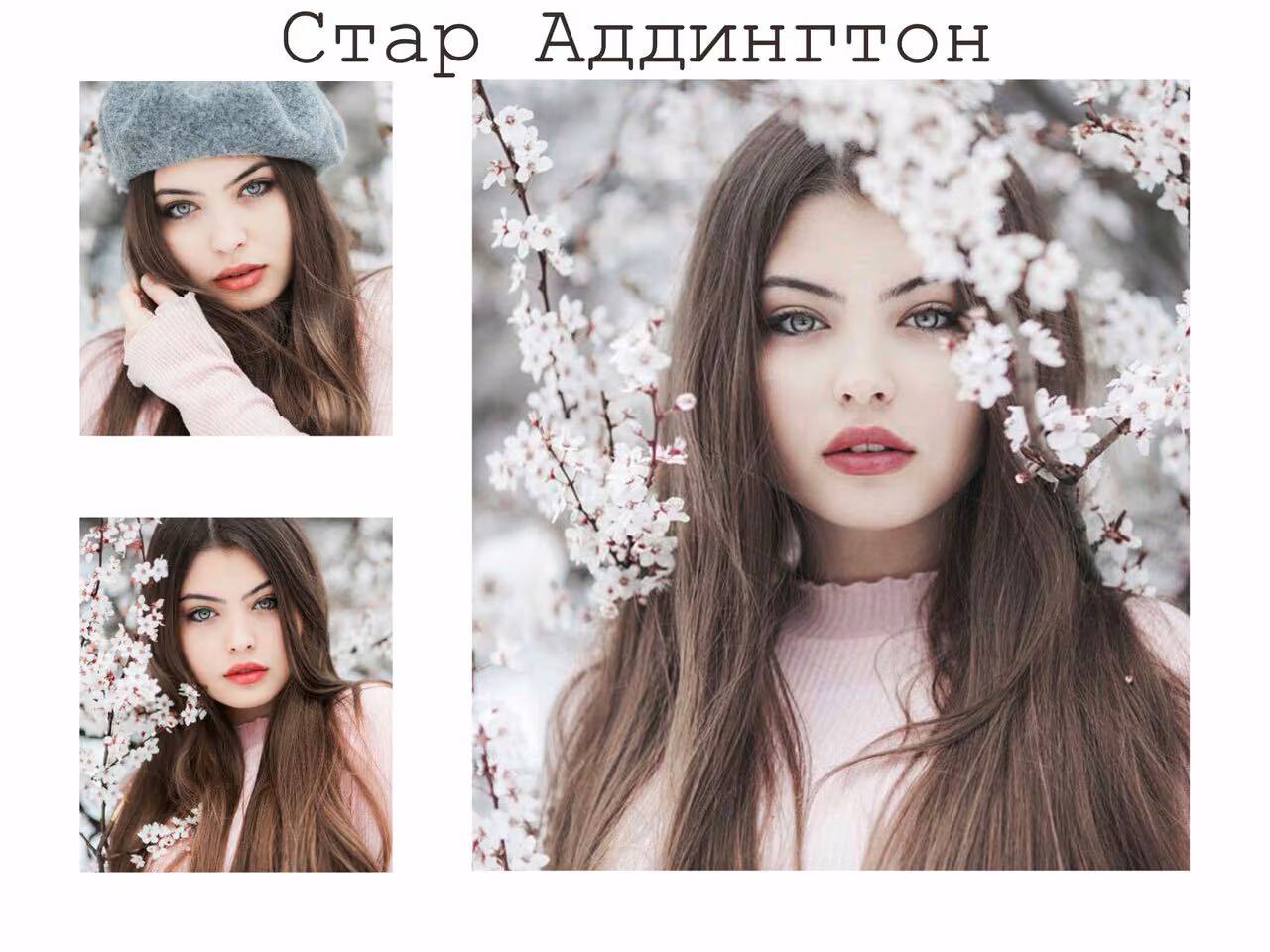 bb44f2e1c7f7ac88d8f0140790b213a0.avif
