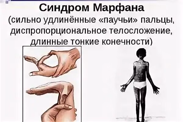 bb46827602f7710a83eb279ba34c7e18.jpg