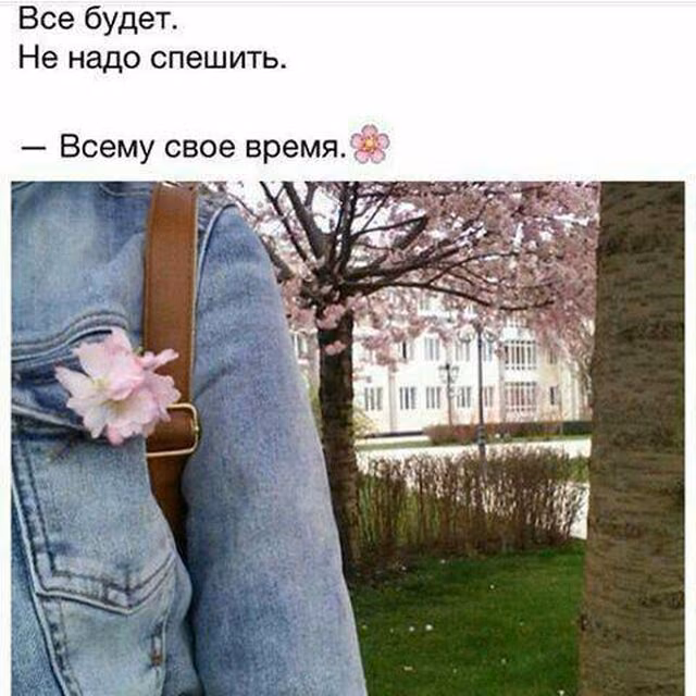 bb4d6a0b32a4f9eed56b6d9418fa0397.jpg
