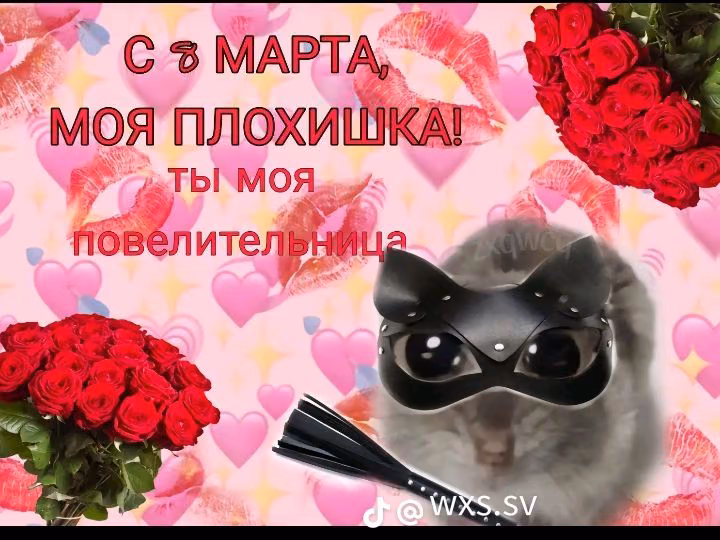 bb503e0e43f20303c3784d52e48251c2.avif