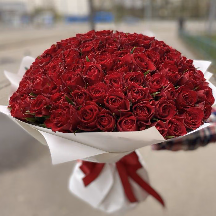bb552f2060c847e2f54b3aff104b2ff0.avif