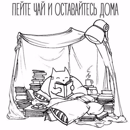 bb71af7c348193bb96d4fcd3cd4385d8.jpg