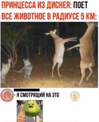 bb74c40a54033b3132ab9ac464fcd2c0.avif