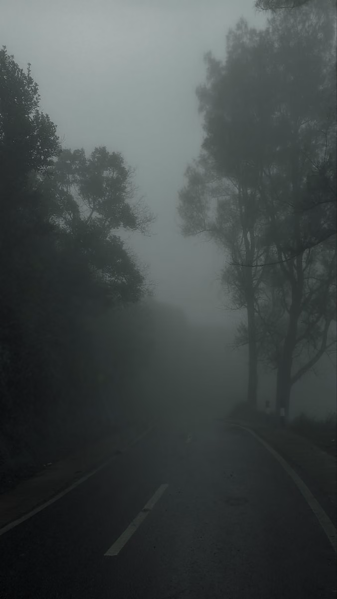 bb7514b6f5ce86478f2c929feac46651.avif