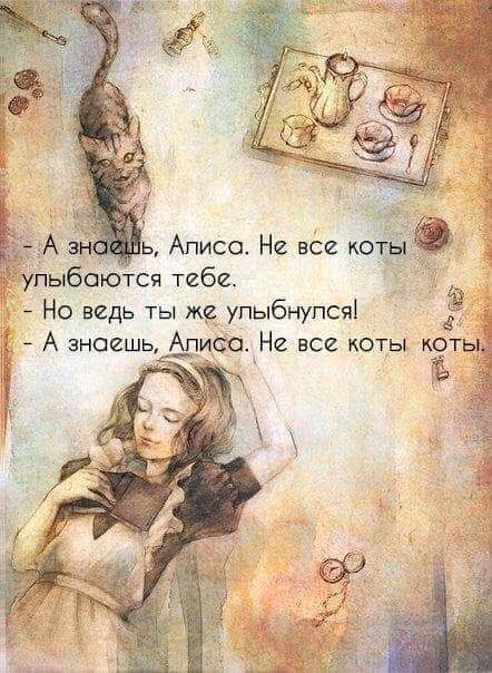 bb7b4d6a5315015724f756c9272e3212.jpg