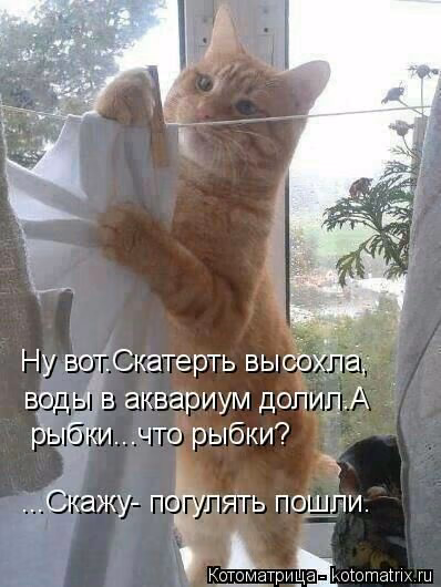bb8410a3681d10e9da7a9df2abbd181e.jpg
