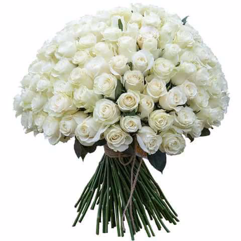 bb9180254d00d6e24c7b23ff31885610.avif