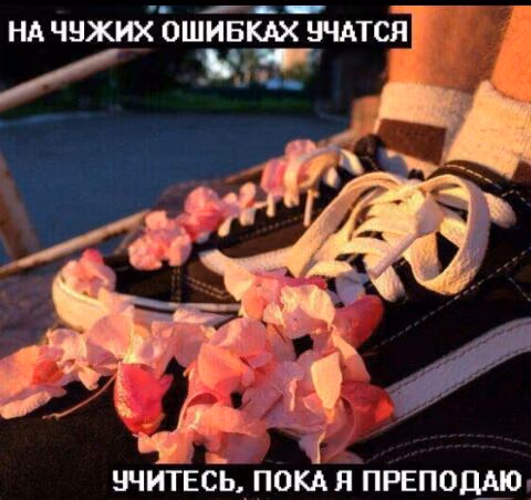 bb92c12536ae8db52f15ebdd385f964b.avif