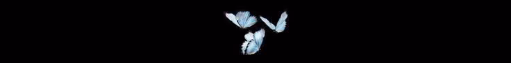 bb989d80e55188f27a95dd39a4d631af.jpg