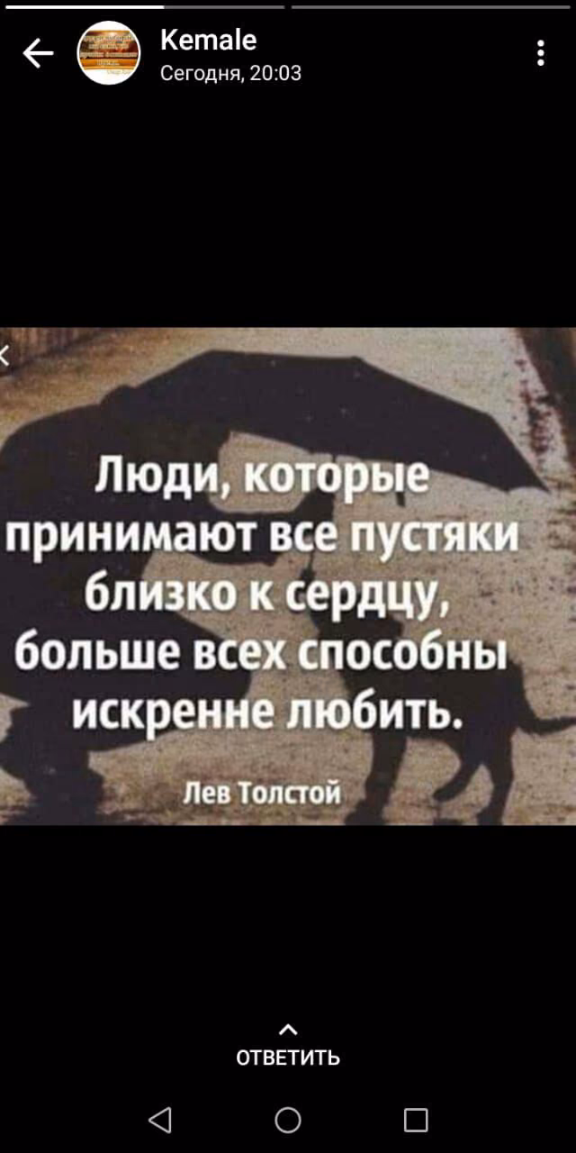 bba0e9e2cb39356aac5d53ed1e941ae9.jpg
