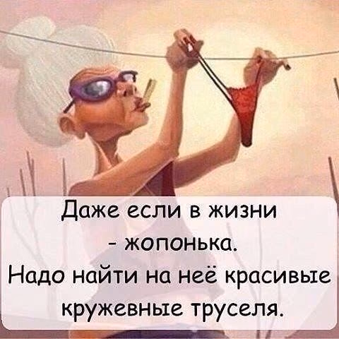 bbafa299f544ea3b0abe683ee5eb2731.avif