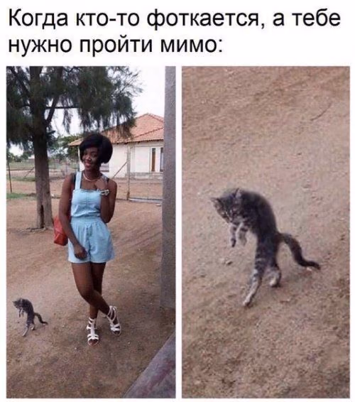bbb20fc93071e72cebc6679cec4dee25.jpg