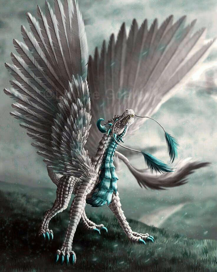 bbb3b32ecc7045d4954da9e0d01f111c.avif
