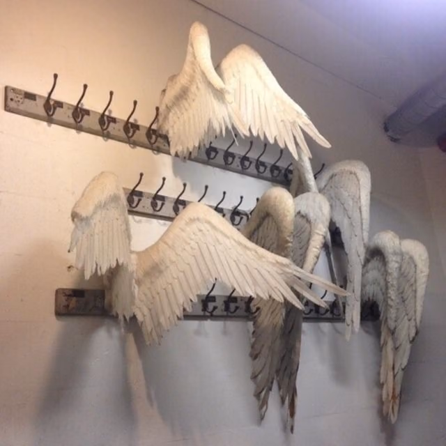 bbb50aee34cf86f831360f6733435344.jpg