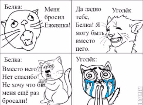 bbb564f36cbf7fec79ad5e655f64f71a.avif