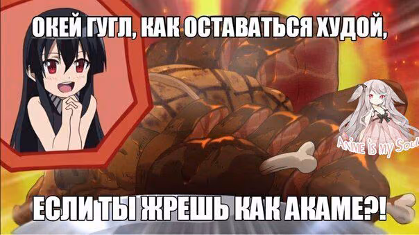 bbcdfef68cccbd92d8d790562fd69745.jpg