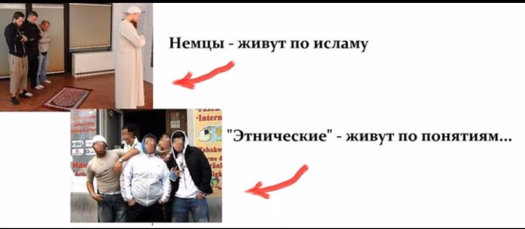 bbd74da7d473c064ec75c3097558edd6.avif